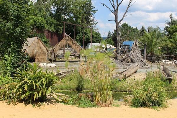 Skupinová rekreace Kemp Wolf a Safari Park Dvůr Králové