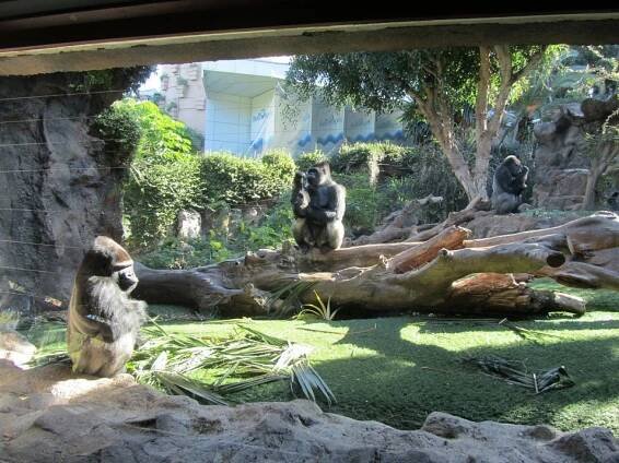 Světoznámá ZOO na Tenerife