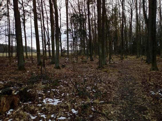 Temný Branišovský les: Duchy nenašli, hřbitov zvířátek ano