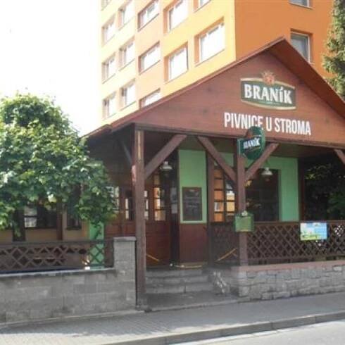 Pivnice U Stroma 1