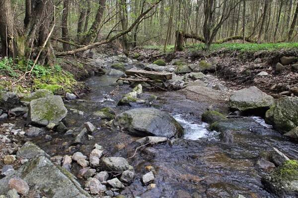 Kemmlitzbach – Naturparkblicke