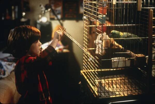 Sám doma 3 (1997)