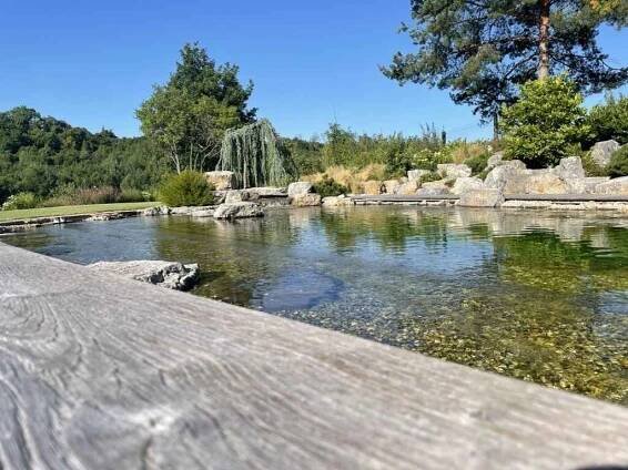Koupací jezírka – Inspirujte se moderními koupacími jezírky a biobazény | DOLTAK 