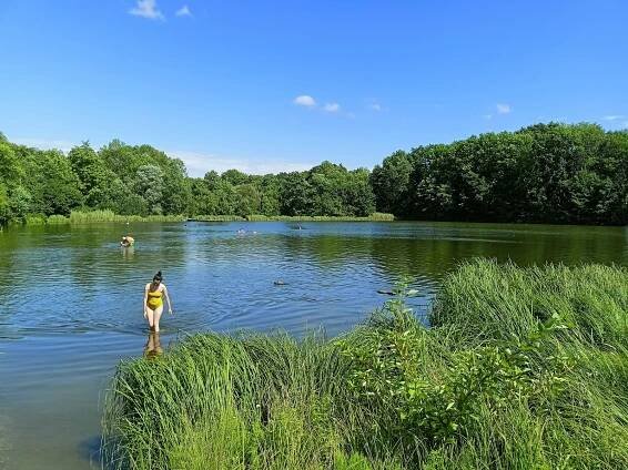 Koupaliště Motol: U přírodního plavání v rybníku vznikne moderní wellnes