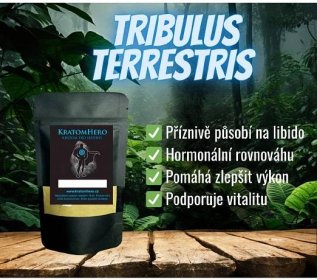 KratomHero Tribulus Terrestris s 90% saponinů 20 g