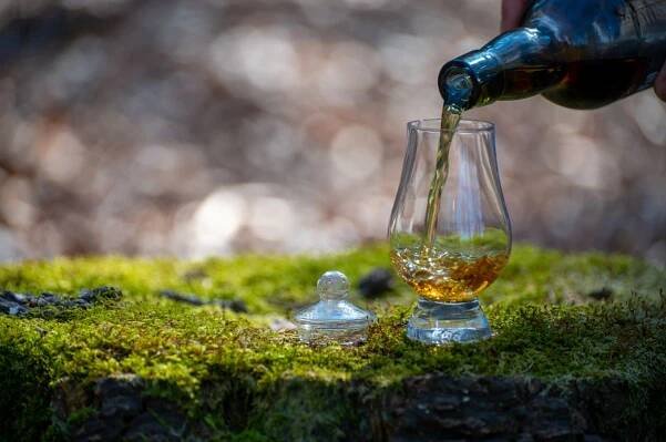 Ochutnávka skotské čisté sladové whisky z ostrova Islay, nejintenzivněji ochucené ze všech whisky ve Skotsku se zeleným mechem a starým pařezem na pozadí — Stock obrázek