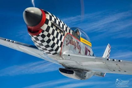 Creating 'Contrary Mary': Story of a Mustang scheme