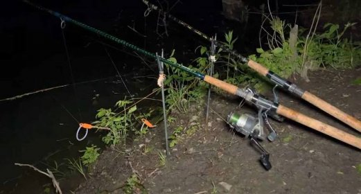 Noční rybaření na žížalu u břehu: Jednoduché chytání, které si okamžitě zamilujete!