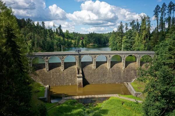 Se psem na farmu, za rekordy i k vodě - vysocina.eu