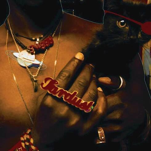 Saul Williams: The Inevitable Rise and Liberation of NiggyTardust! - nine inch nails