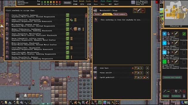Dwarf Fortress Premium PC Review