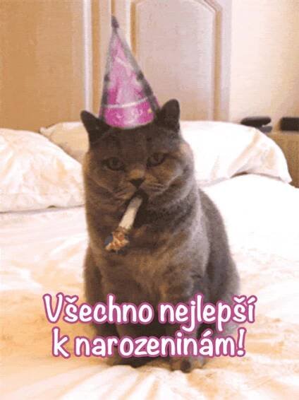 Všechno nejlepší k narozeninám kočky GIFy