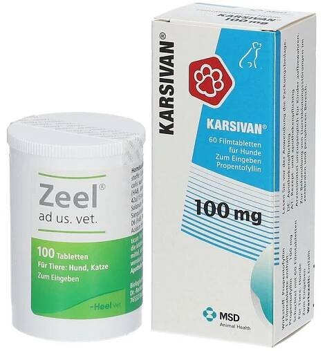 KARSIVAN® 100 mg Vet + Zeel® ad us. vet Tabletten