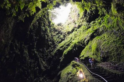 Pěšky ostrovy Terceira a Flores | Delfín Travel