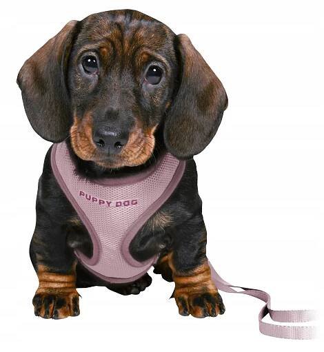 Trixie Junior Puppy Soft souprava světle fialová 26-34 cm/10 mm