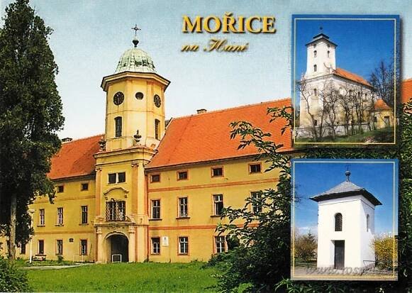 Mořice