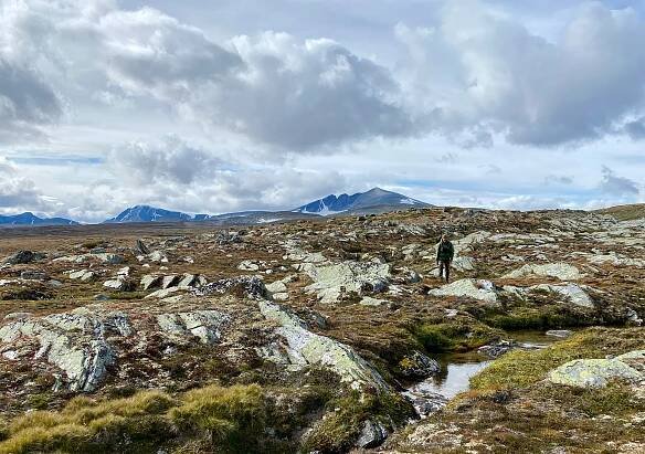Om nasjonalparken - Dovrefjell-Sunndalsfjella nasjonalpark