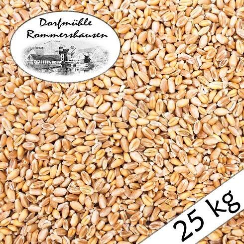 25 kg Pšenice čištěná Krmivo pro kuřata Krmivo pro drůbež Krmná pšenice Krmivo pro