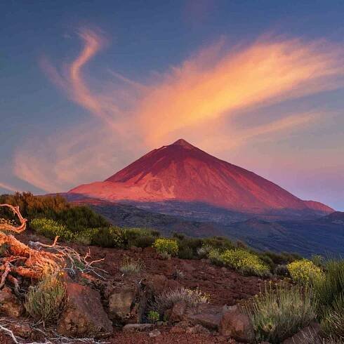 Gay Travel Tenerife