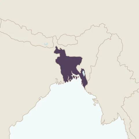 Asia-Pacific | National Democratic Institute