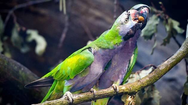 Zoo Ostrava, výběr snímků