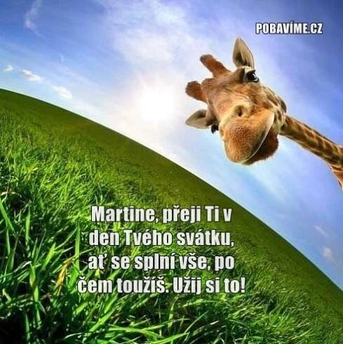 Přání k svátku pro Martina | Pobavime.cz