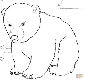 Mládě medvěda ledního omalovánka | Omalovánky k Vytisknutí Zdarma