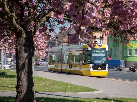 Plzeňské městské dopravní podniky - Fotogalerie | SDP-ČR