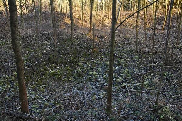 Soubor:Zřícenina hradu Doubravice nad Svitavou, okres Blansko (06).jpg