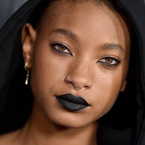 Willow Smith's New Braided Bob Makes Her Look Like Her Mom's Twin — See Photos