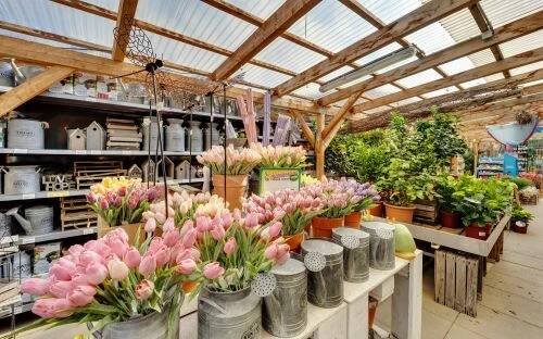Pergola