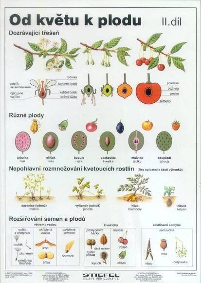 Pin su Podzimni knizka