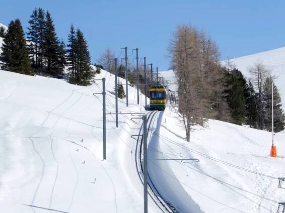 Wengernalpbahn (WAB)