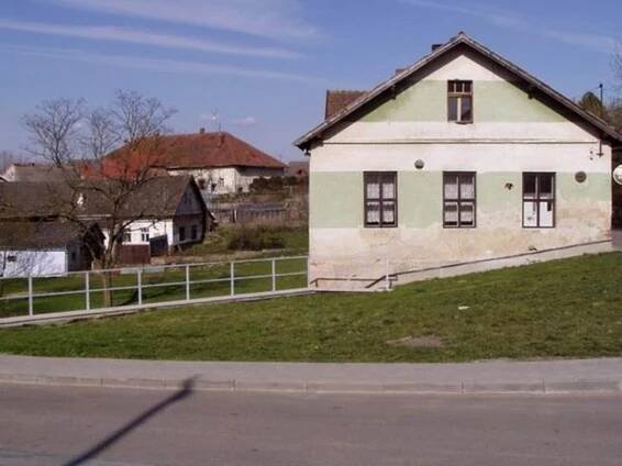 Jak roste betonový strom? Práce trvala měsíc, video ji ukáže za pár minut