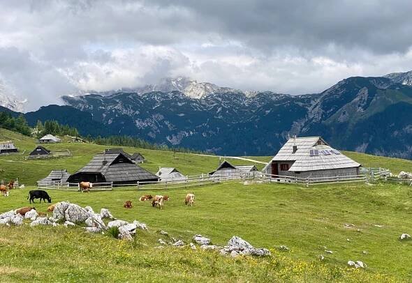 Kempovanie v Slovinsku so spaním v Tesle – Život s Teslou