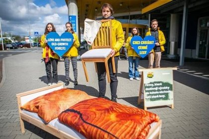 Aktivisté před prodejnou IKEA v Praze vyjádřili nesouhlas s kácením starých lesů
