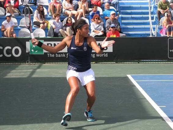 Fed Cup 2013 – Wikipedie