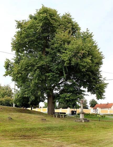 Ves Touškov - ubytování, počasí, foto, tipy na výlet, informace