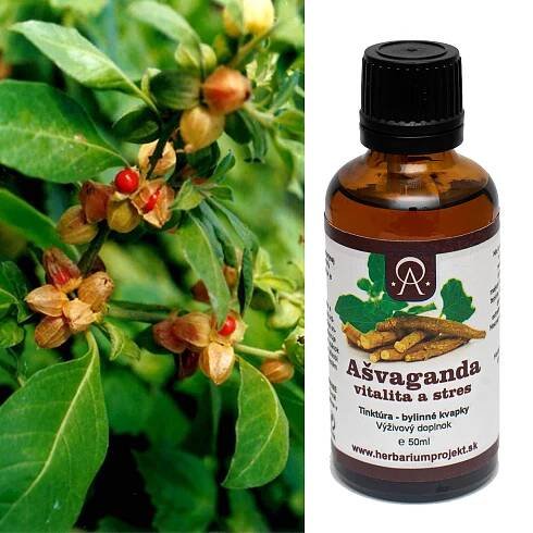 Ašvaganda, vitalita a stres, tinktúra, 50ml