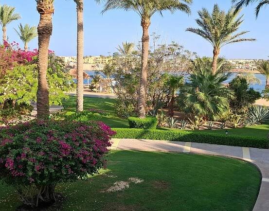 STEIGENBERGER CORAYA BEACH - Bewertungen, Fotos & Preisvergleich (Marsa Alam, Ägypten) - Tripadvisor