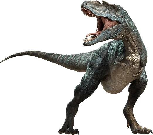 Tyrannosaurus remains hint at two possible species distinct from T. rex