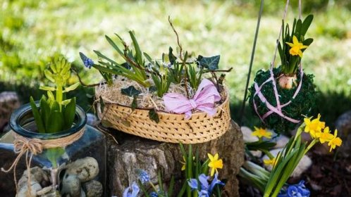 Zavěšený narcis aneb 6 úžasných dekorací plných jarních květin