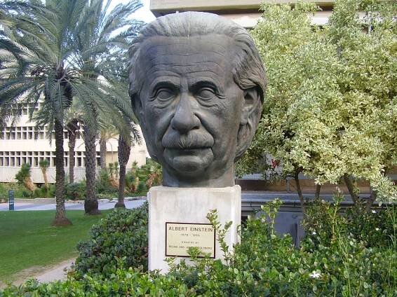 Tosia Malamud