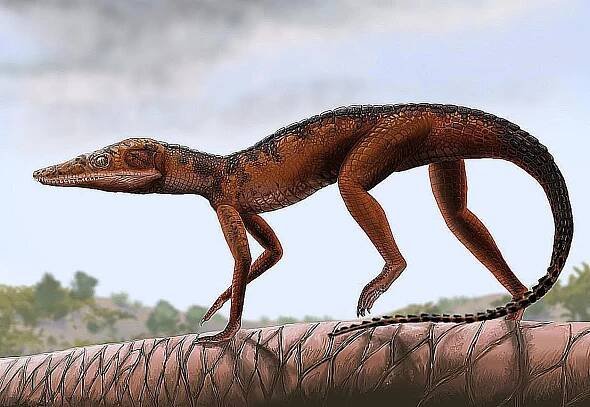 terrestrisuchus