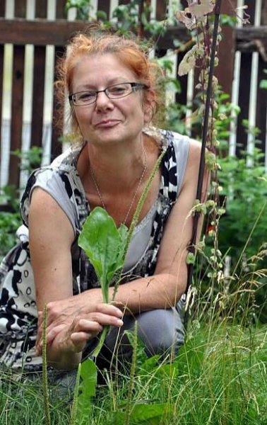 Bianca Zogg - Grünzeug.BZ Wildpflanzen entdecken - erkennen - geniessen