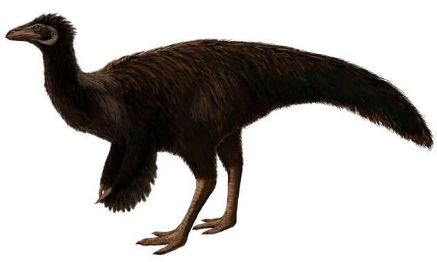 Sinornithomimus