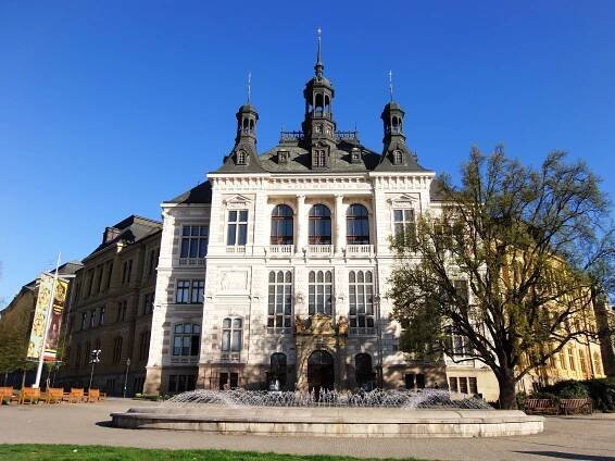 Plzeň ošetří injektáží speciálních přípravků ke kořenům devět stoletých stromů