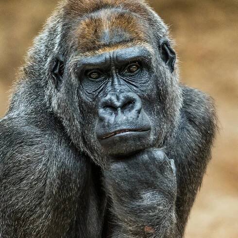 Kam s dětmi v Praze? Zoo, království železnic, nebo třeba bobová dráha