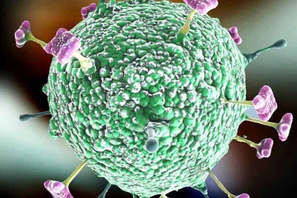 High Alert Of Nipah Virus
