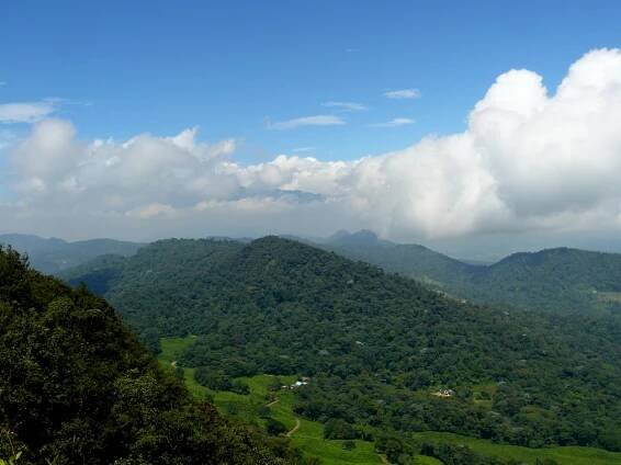 Chicoral, Valle del Cauca